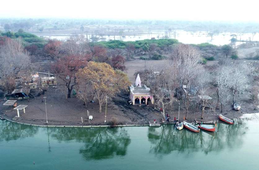 Desolation engulfed after sinking back water in Rajghat डूब की त्रासदी ने राजघाट को किया बेनूर, अब बचे है सूखे ठूंठ