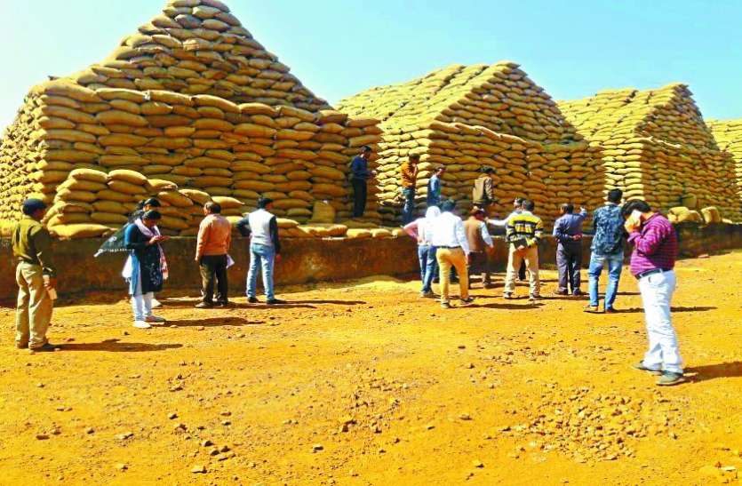 2400 quintals of paddy found non-standard here यहां अमानक पाई गई 2400 क्विंटल धान कर दी रिजेक्ट