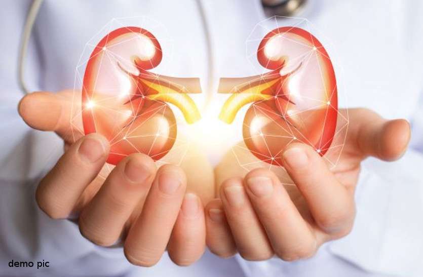 kidney transplant cost in MP किडनी ट्रांसप्लांट के लिए दवाओं की चिंता ना ही किसी जांच की, तय हुआ चार लाख का पैकेज
