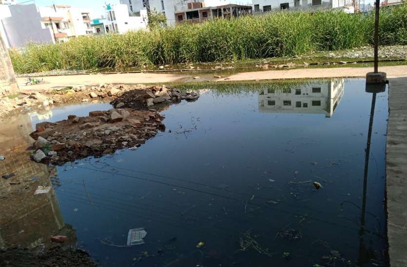 गंदगी से परेशान वार्ड-01 दीप नगर व सेठ फूलचंद नगर के रहवासी गंदगी से परेशान वार्ड-01 दीप नगर व सेठ फूलचंद नगर के रहवासी