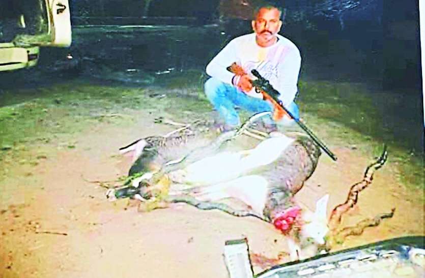 आमिर के फार्म हाउस से मिले एलबम में चीतल, ब्लैक बक के शिकार की 40 फोटो, मांस बरामद आमिर के फार्म हाउस से मिले एलबम में चीतल, ब्लैक बक के शिकार की 40 फोटो, मांस बरामद