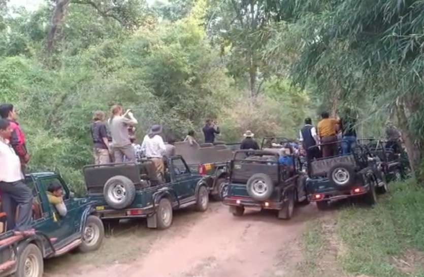 500 meters to be kept between vehicles in National Park नेशनल पार्क में वाहनों के बीच रखनी होगी 500 मीटर की दूरी, भीड़ लगाने पर भी रोक