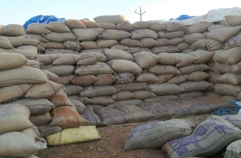 paddy News लापरवाही की हद: खुले आसमान के नीचे रखा 14 लाख मीट्रिक टन धान कर रहा मानसून का इंतजार