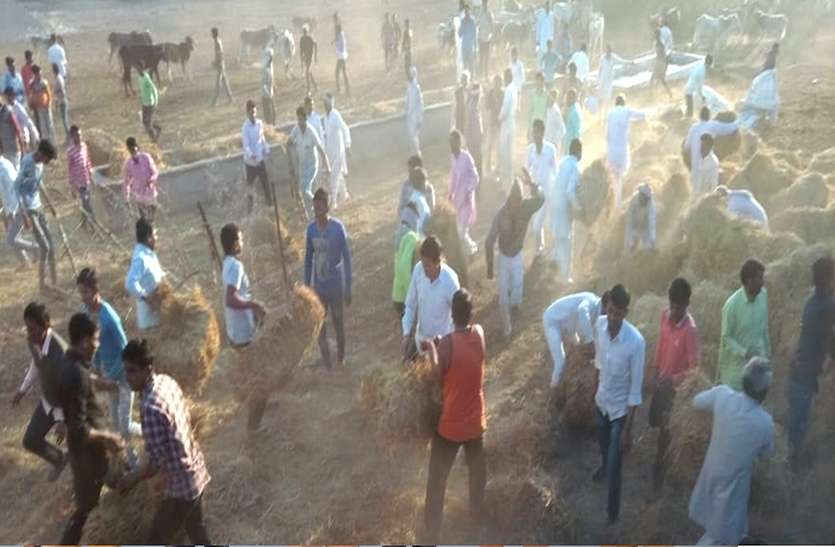 फायर बिग्रेड में पानी खत्म, युवाओं ने बुझाई आग, बचाया गोवंश फायर बिग्रेड में पानी खत्म, युवाओं ने बुझाई आग, बचाया गोवंश