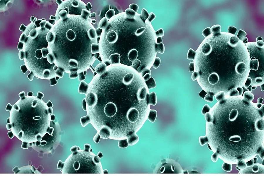 Maha Corona Virus: 56 यात्रियों में कोरोना वायरस के लक्षण निगेटिव, अब तक 36 हजार 028 यात्रियों का निरीक्षण...