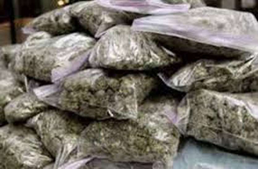 Crime लाखों का गांजा रायपुर से दिल्ली ले जा रही महिला गिरफ्तार