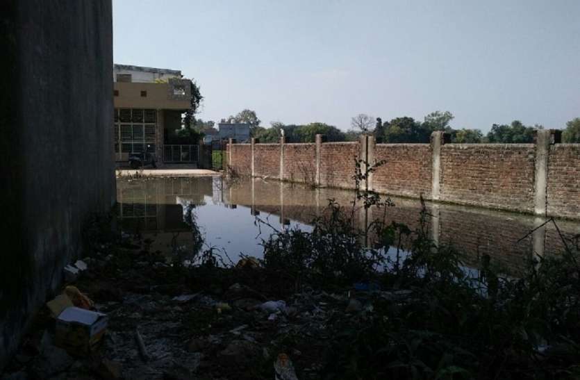 समस्या ऐसी जिसका हल नपा से कलेक्टर तक नहीं निकाल पाए समस्या ऐसी जिसका हल नपा से कलेक्टर तक नहीं निकाल पाए