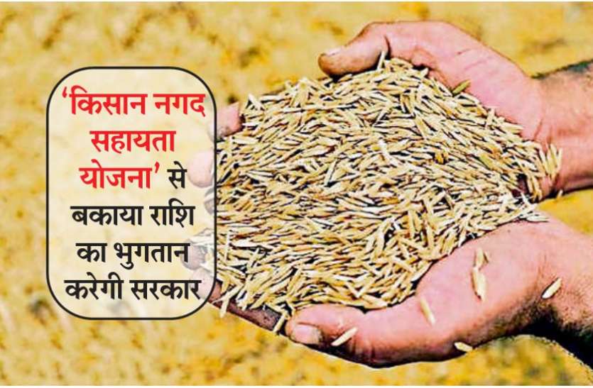 खुशखबरी! किसानों को 'किसान नगद सहायता योजना' से धान खरीदी की बकाया राशि का भुगतान करेगी सरकार खुशखबरी! किसानों को 'किसान नगद सहायता योजना' से धान खरीदी की बकाया राशि का भुगतान करेगी सरकार