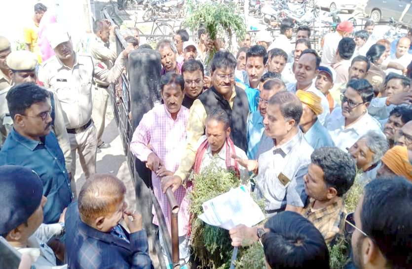 The survey of the damage caused by unseasonal rains has not yet reached the aggrieved farmers. बेमौसम बारिश से हुए नुकसान का अब तक सर्वे नहीं आक्रोशित किसान पहुंचे कलक्टोरेट ...