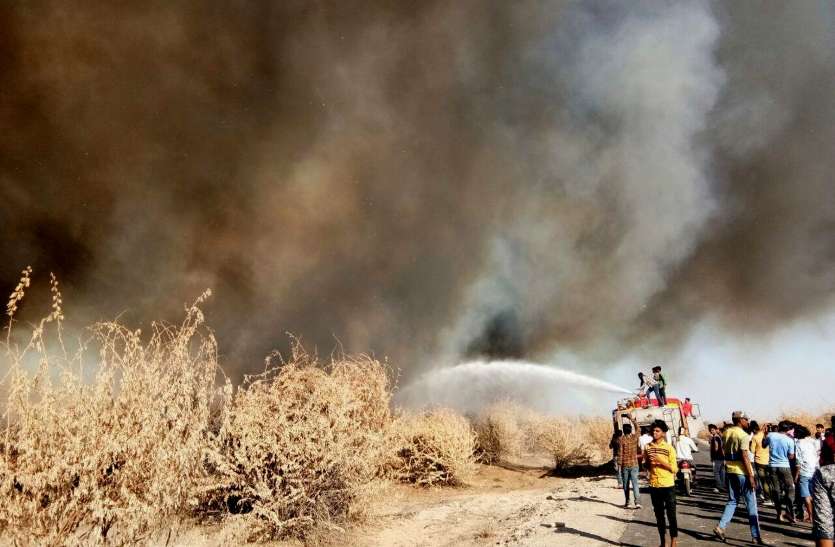 Huge fire in Beed of Nawan नावां के बीड़ में भीषण आग, सैकड़ों बबूल के पेड़ राख