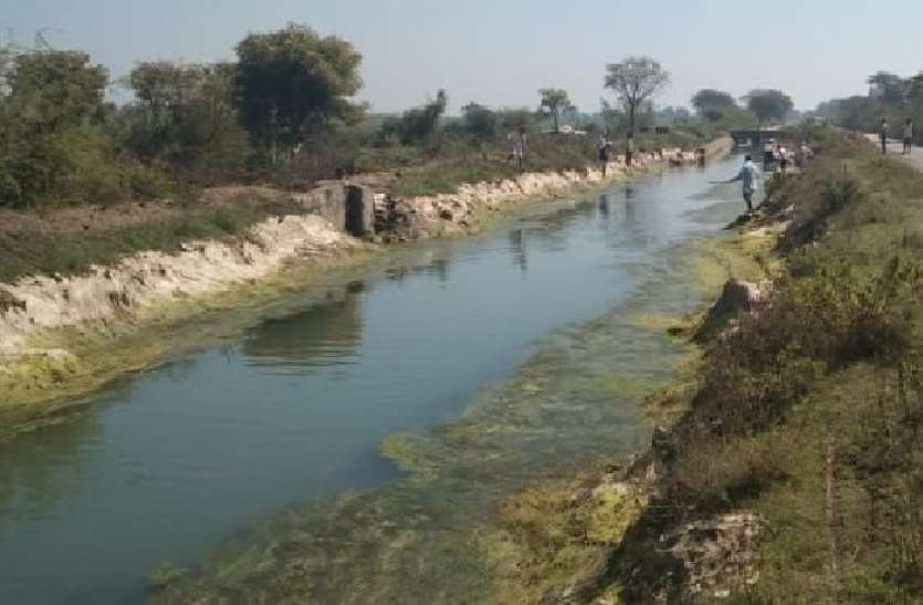 खरपतवार की सफाई के लिए लगाए मजदूर,अब अन्तिम छोर तक पहुंचेगा पानी खरपतवार की सफाई के लिए लगाए मजदूर,अब अन्तिम छोर तक पहुंचेगा पानी