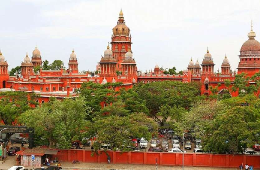 highcourt पेड़ों को काटने के मामले में रिपोर्ट पेश करने के निर्देश