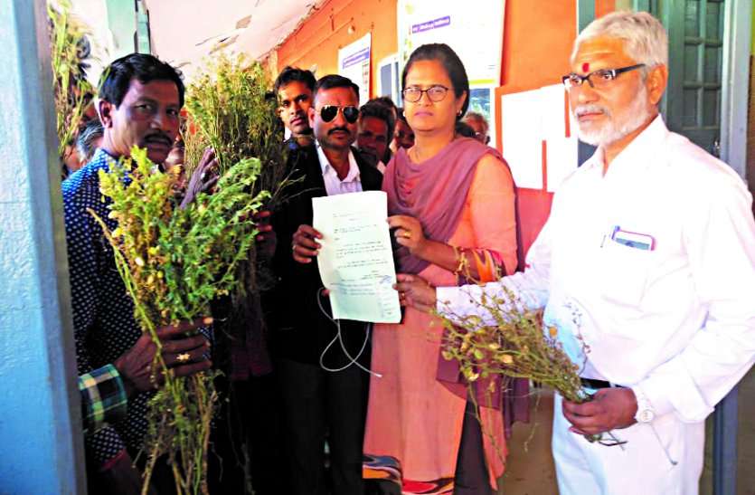 Rabi crop completely destroyed due to untimely rains, farmers told SDM their pain असमय बारिश से रबी फसल हुई पूर्णत: चौपट, किसानों ने एसडीएम को बताई अपनी पीड़ा