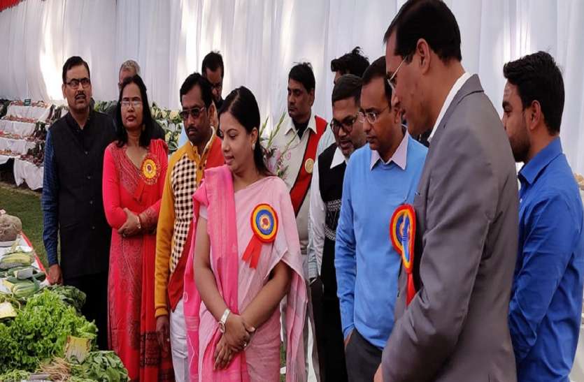 -आठवां मंडलीय फल पुष्प एवं शाकभाजी प्रदर्शनी मौसमी सब्जियों और फूलों से जगमग हुआ कंपनी गार्डेन
