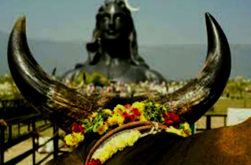 rajyoga_on_mahashivratri.jpg 59 साल बाद महाशिवरात्रि पर बन रहा राजयोग, इस तरह करेंगे पूजा तो होगा विशेष लाभ