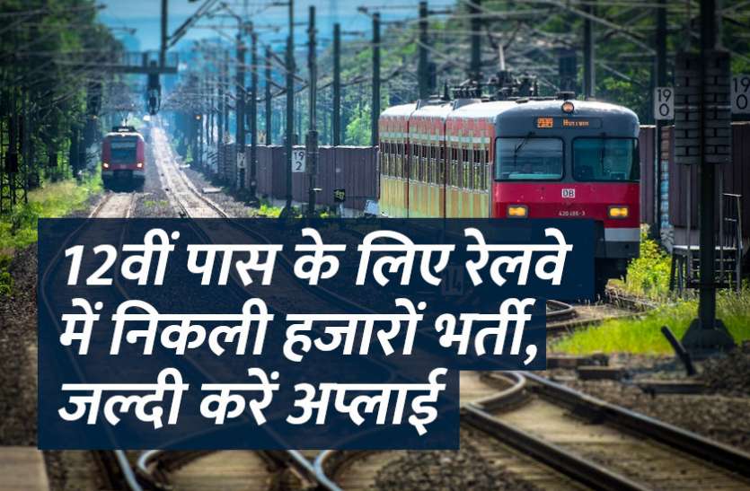 govt jobs in hindi, govt jobs, govt jobs 2019, Government Job 2019, Sarkari Naukri 2019, Latest Government job, sarkari jobs, 10th pass govt jobs, 12th pass govt jobs, सरकारी नौकरी, सरकारी नौकरी 2019, rojgar samachar, employment news in hindi, rojgar samachar in hindi, upsc jobs in hindi, 10th pass govt jobs 2019, UPSC, government jobs, UPSC exam, Sarkari Naukri, latest government jobs, jobs in hindi, latest jobs news, UPSC Jobs, upsc vacancy, 12वीं पास के लिए रेलवे रिक्रूटमेंट सेल में निकली हजारों भर्ती, जल्दी करें अप्लाई