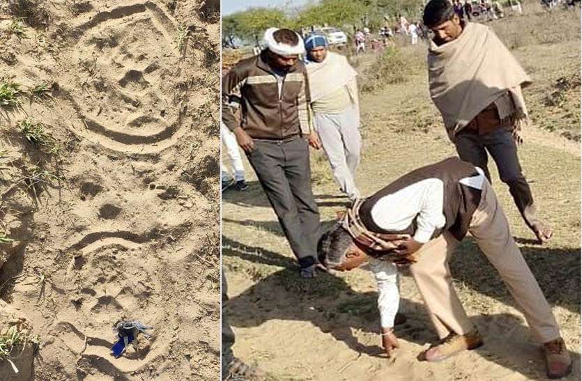 बघेरे ने सांड को बनाया शिकार, कई पशु बन चुके है काल का ग्रास बघेरे ने सांड को बनाया शिकार, कई पशु बन चुके है काल का ग्रास