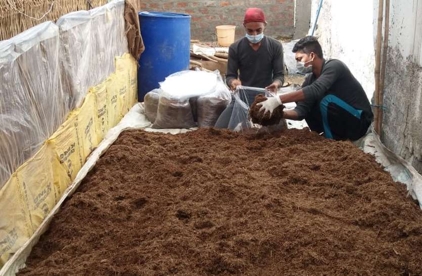 मशरूम की खेती ने बनाया किसान को लखपति मशरूम की खेती ने बनाया किसान को लखपति
