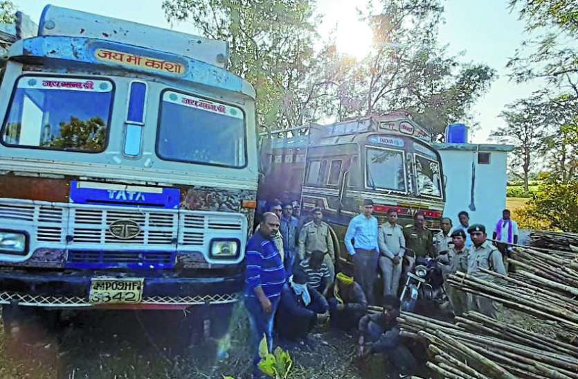 अवैध कोयला खदानों से 20 टन कोयला जब्त, माफियाओं में मचा हड़कंप आधी रात को वन विभाग ने कोयला खदानों पर मारा छापा
