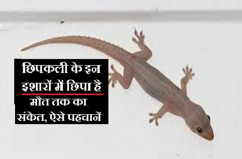 आपको मिलने वाला है आकूत धन, खास संकेतों में छिपा है इसका रहस्य - ऐसे समझें