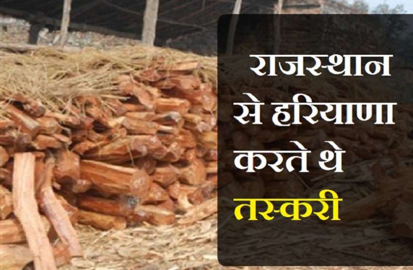 30 क्विंटल खैर की लकड़ी जब्त, तस्कर गिरफ्तार 30 क्विंटल खैर की लकड़ी जब्त, तस्कर गिरफ्तार