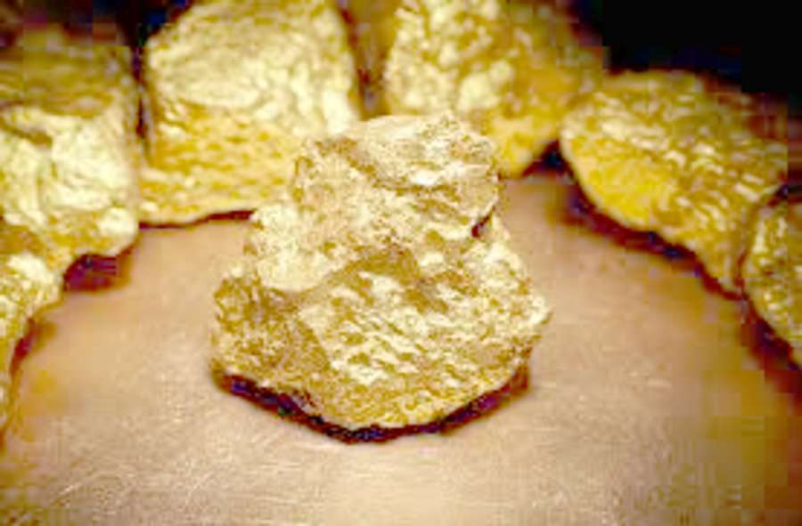 Mining will start in May from gold mine in Chakariya of Singrauli