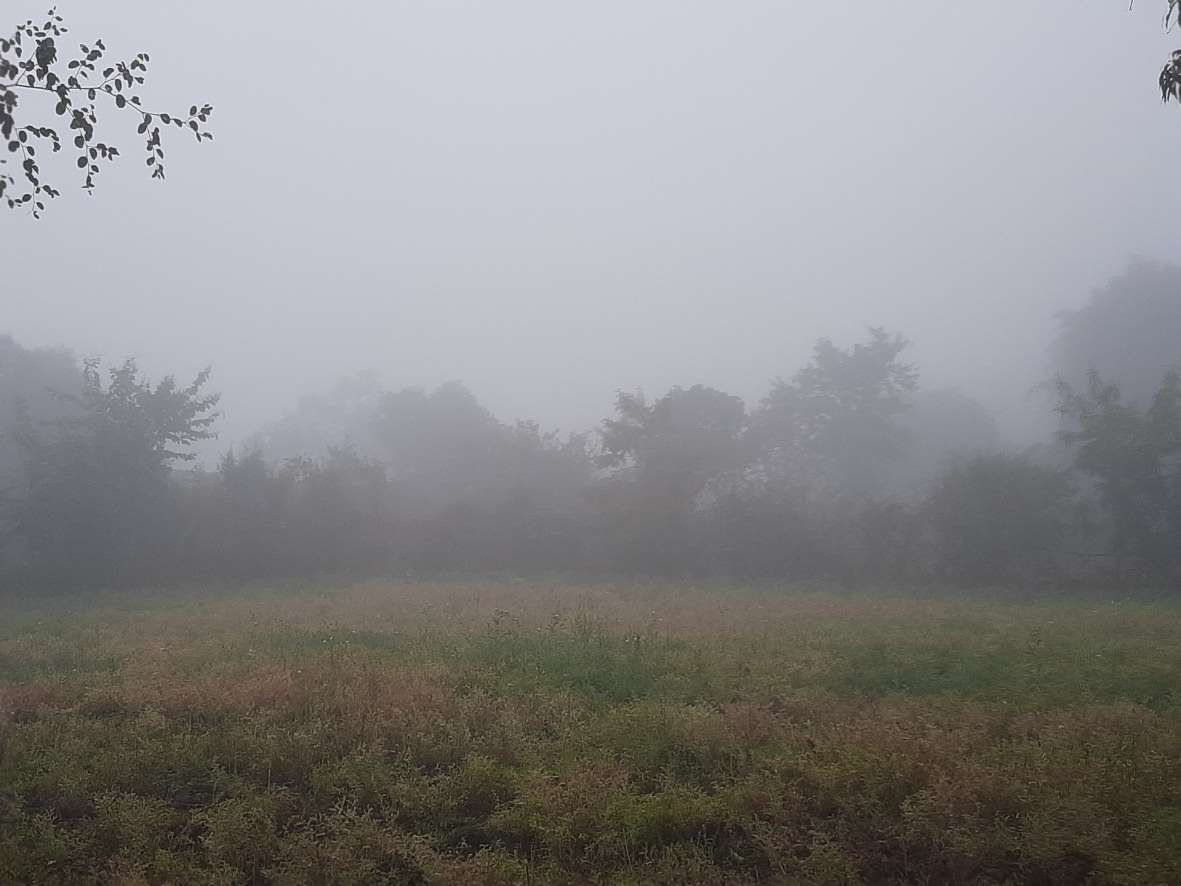 Entire area covered with fog due to rain