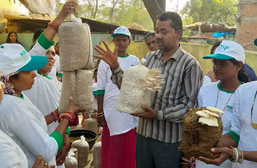 मशरूम उत्पादन के लिए महिलाओं को दिया जा रहा प्रशिक्षण, इनके फायदे जानकर आप भी हो जाएंगे हैरान मशरूम उत्पादन के लिए महिलाओं को दिया जा रहा प्रशिक्षण, इनके फायदे जानकर आप भी हो जाएंगे हैरान