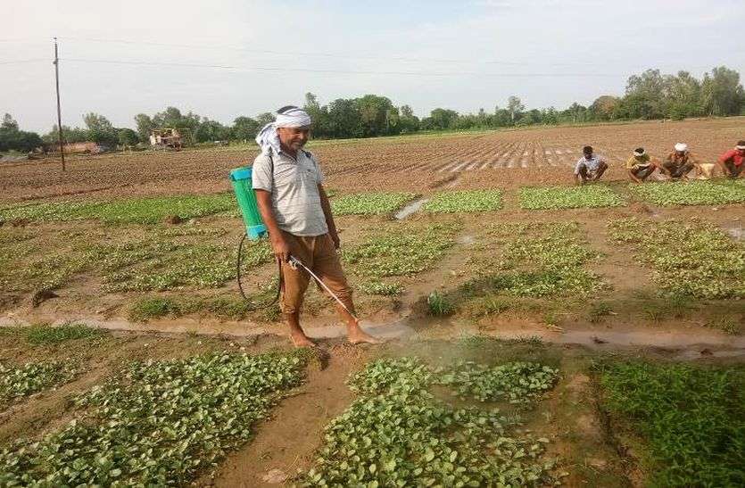 अब मिट्टी में फैले खतरनाक रसायनों का होगा खात्मा अब मिट्टी में फैले खतरनाक रसायनों का होगा खात्मा