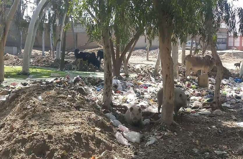 शिक्षा के मंदिर के पास अपशिष्ट के ढेर शिक्षा के मंदिर के पास अपशिष्ट के ढेर
