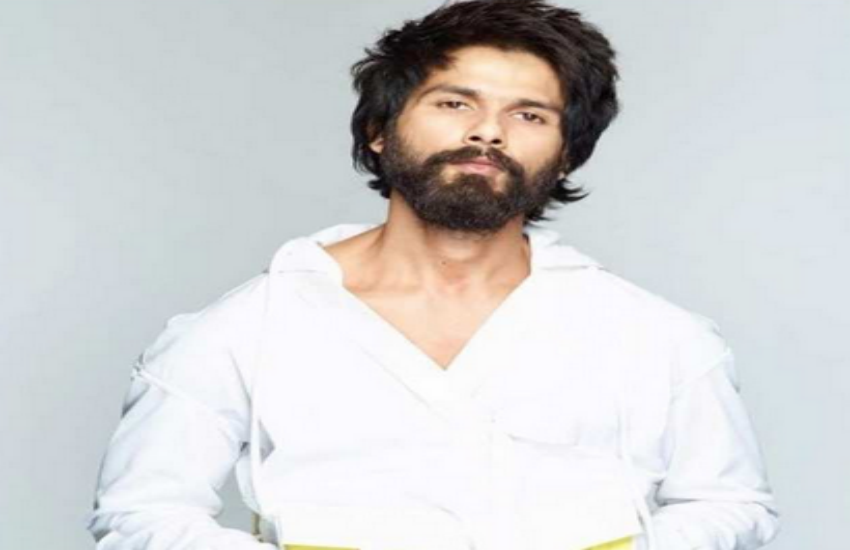 shahid kapoor birthday special 