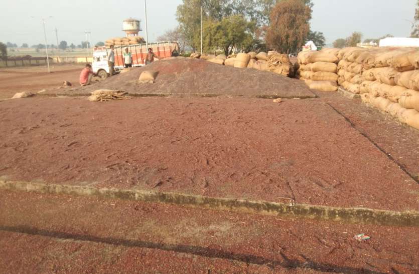 मंडी में रखी 2 हजार क्विंटल सरसों भीगीं, 20 लाख का नुकसान मंडी में रखी 2 हजार क्विंटल सरसों भीगीं, 20 लाख का नुकसान