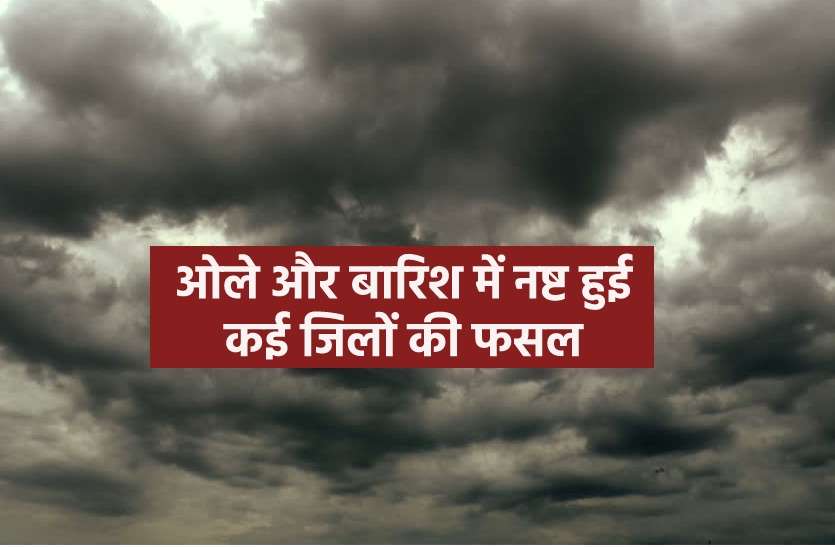 बारिश,ओलावृष्टि से फसलें हुई चौपट बारिश,ओलों के साथ लौटी सर्दी