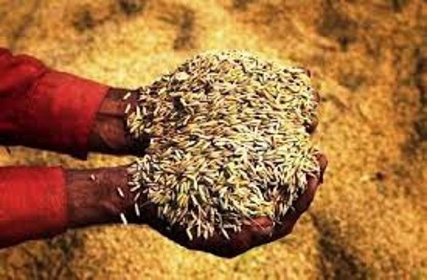 रायपुर : जिन किसानों को टोकन दिए गए हैं उनका परीक्षण कर धान खरीदी की जाएगी : भूपेश बघेल रायपुर : जिन किसानों को टोकन दिए गए हैं उनका परीक्षण कर धान खरीदी की जाएगी : भूपेश बघेल