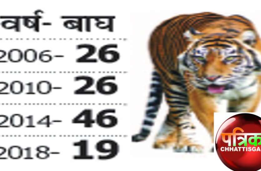 राज्य में 19 बाघ, प्रत्येक पर 50 लाख रुपए हर साल खर्च, फिर भी न ढूंढ रहे न बचा पा रहे राज्य में 19 बाघ, प्रत्येक पर 50 लाख रुपए हर साल खर्च, फिर भी न ढूंढ रहे न बचा पा रहे
