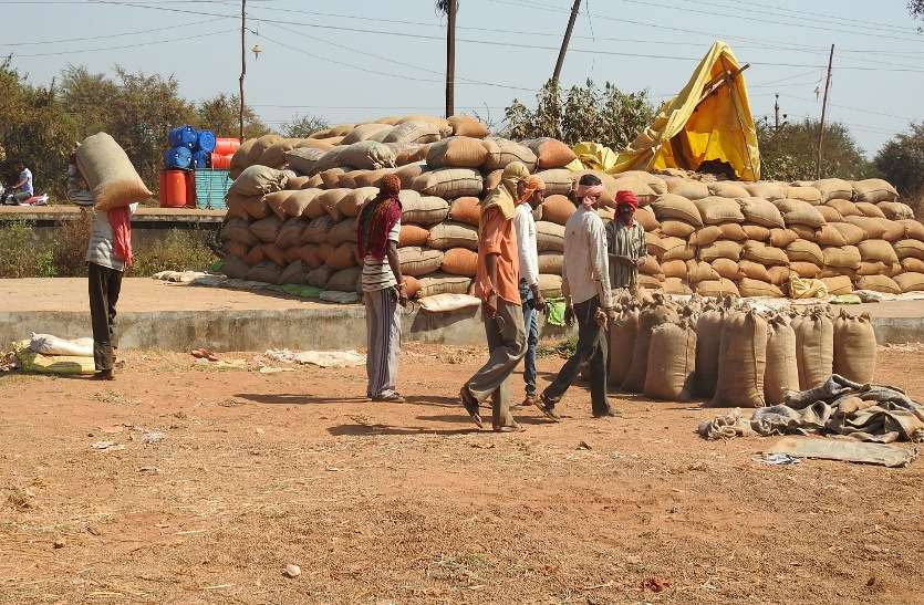 Kota is full in storage centers, millers are not picking up paddy, 20 lakh quintal of paddy is still lying in the procurement centers ... संग्रहण केन्द्रों में कोटा फुल, मिलर्स नहीं उठा रहे धान, खरीदी केन्द्रों मे अब भी खुले में पड़ा है 20 लाख क्विंटल धान ...