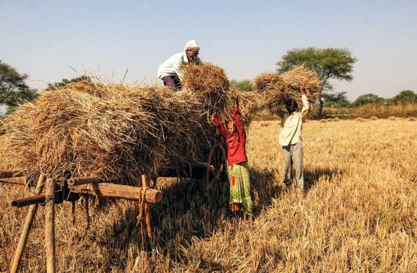 Agriculture Fair : आठ कृषि जलवायु क्षेत्रों में होगा कृषि विज्ञान मेला कृषि कार्य के लिए दी प्रशासन ने सीमित अनुमति