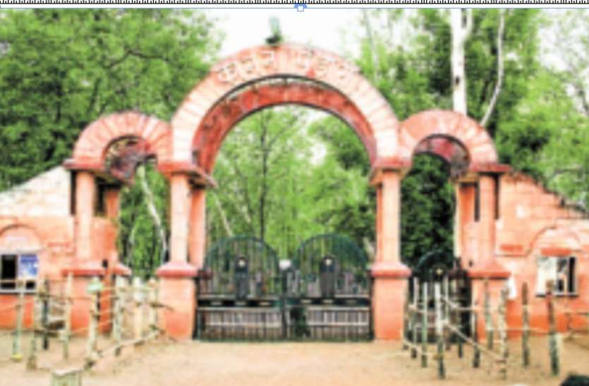 कानन पेंडारी से विदा होगी बाघिन दुर्गा, ट्रेन में स्पेशल बोगी से ले जाएंगे विशाखापट्टनम कानन पेंडारी से विदा होगी बाघिन दुर्गा, ट्रेन में स्पेशल बोगी से ले जाएंगे विशाखापट्टनम