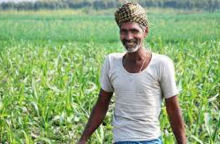 Farmers will benefit from increase in support price in bhilwara समर्थन मूल्य बढऩे से किसानों को मिलेगा फायदा