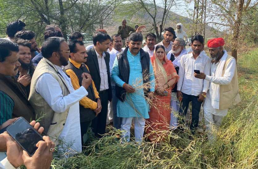Rain in Rajasthan : नुकसान का जायजा लेने पहुंचे श्रम राज्यमंत्री Rain in Rajasthan : नुकसान का जायजा लेने पहुंचे श्रम राज्यमंत्री
