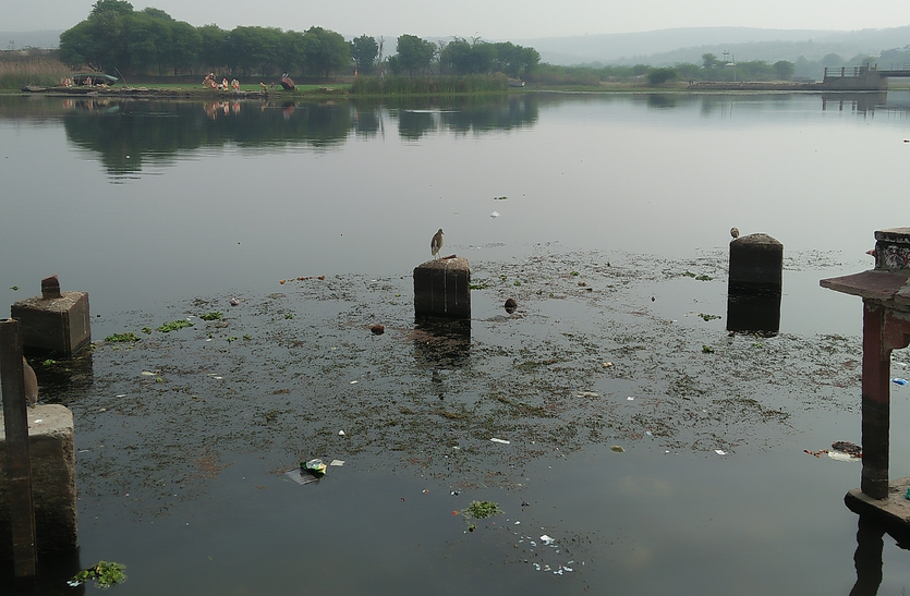 एनजीटी में लम्बित प्रकरण का हुआ निस्तारण एनजीटी में लम्बित प्रकरण का हुआ निस्तारण