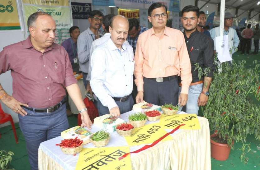 निमाड़ की मिर्च को देश में बनाएंगे नंबर वन : कृषि मंत्री निमाड़ की मिर्च को देश में बनाएंगे नंबर वन : कृषि मंत्री