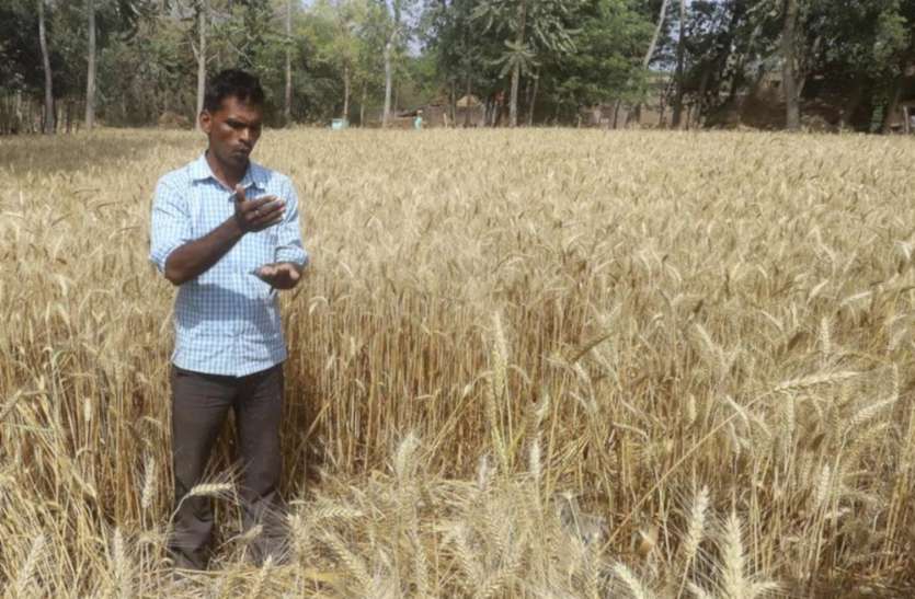 किसानों के लिए बड़ी खुशखबरी, अब यूपी के किसान पूरी दुनिया में आसानी से बेच सकेंगे अपने जैविक उत्पाद, कमाएंगे करोड़ों रुपए किसानों के लिए बड़ी खुशखबरी, अब यूपी के किसान पूरी दुनिया में आसानी से बेच सकेंगे अपने जैविक उत्पाद, कमाएंगे करोड़ों रुपए