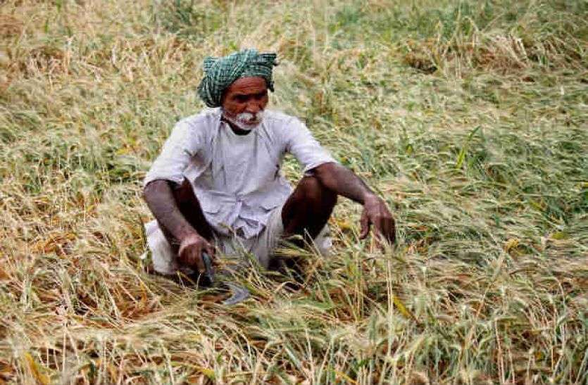 farmer_2.jpg फर्जीवाड़ा कर मिलीभगत से लोन उठाया, योजना में कराया माफ