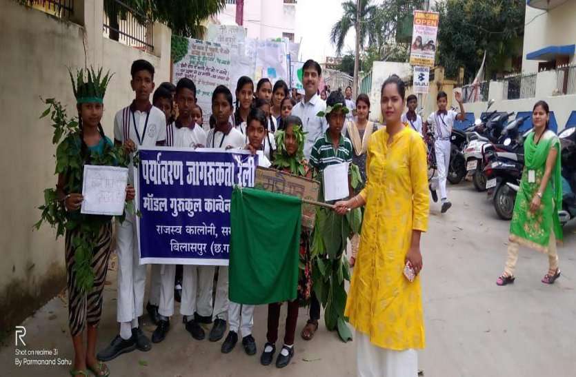 होली शौक से मनाए हरे-भरे पौधों को न जलाए होली शौक से मनाए हरे-भरे पौधों को न जलाए