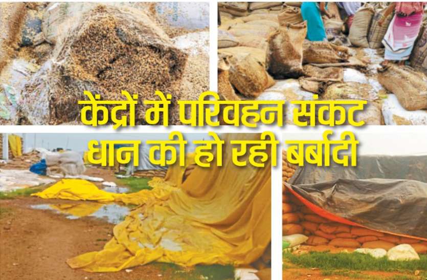 समितियों में परिवहन संकट : धान की हो रही बर्बादी समितियों में परिवहन संकट : धान की हो रही बर्बादी