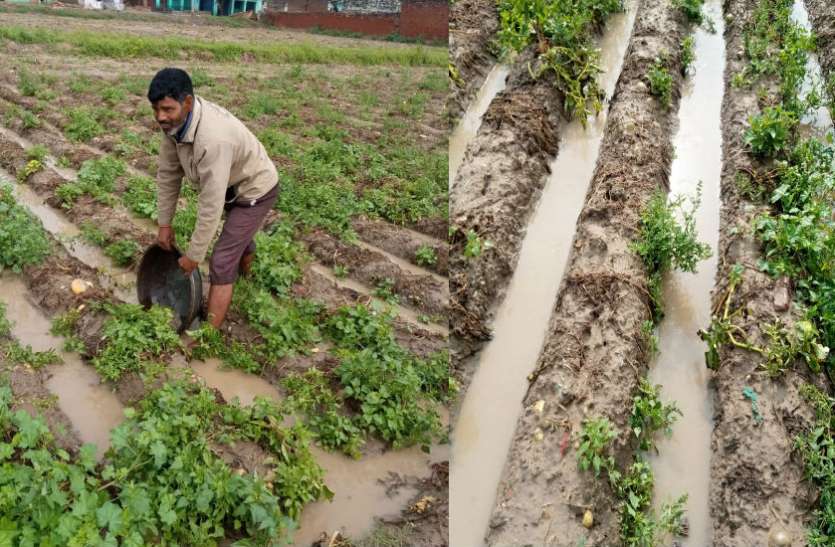 Farming बारिश में बह गए बेटी की शादी के अरमान, किसी को चुकाना था कर्ज तो किसी को बनवाना था मकान