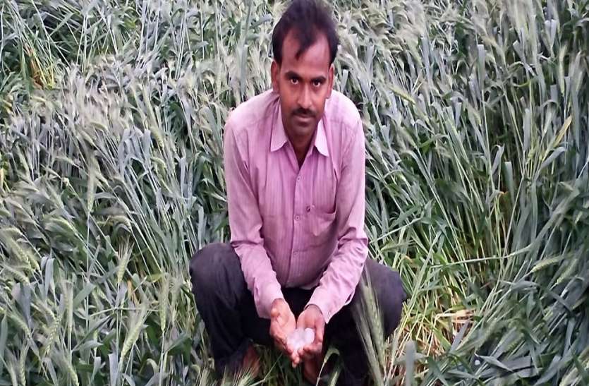 एक बार फिर किसानों का दिल दहल उठा, जब आसमान से पत्थरों की हुई बारिश, किसानों ने बयां किया दर्द एक बार फिर किसानों का दिल दहल उठा, जब आसमान से पत्थरों की हुई बारिश, किसानों ने बयां किया दर्द