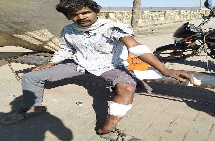 Bhainsrodgarh Wildlife Sanctuary Incident जंगली जानवर के हमले से किसान घायल