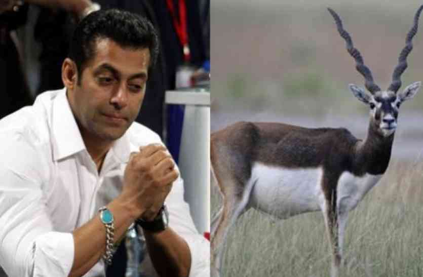 salman_khan_black_buck.jpg हरिण शिकार मामले में आज चार अपीलों की सुनवाई, सलमान के हाजिर होने को लेकर ये बात आई सामने